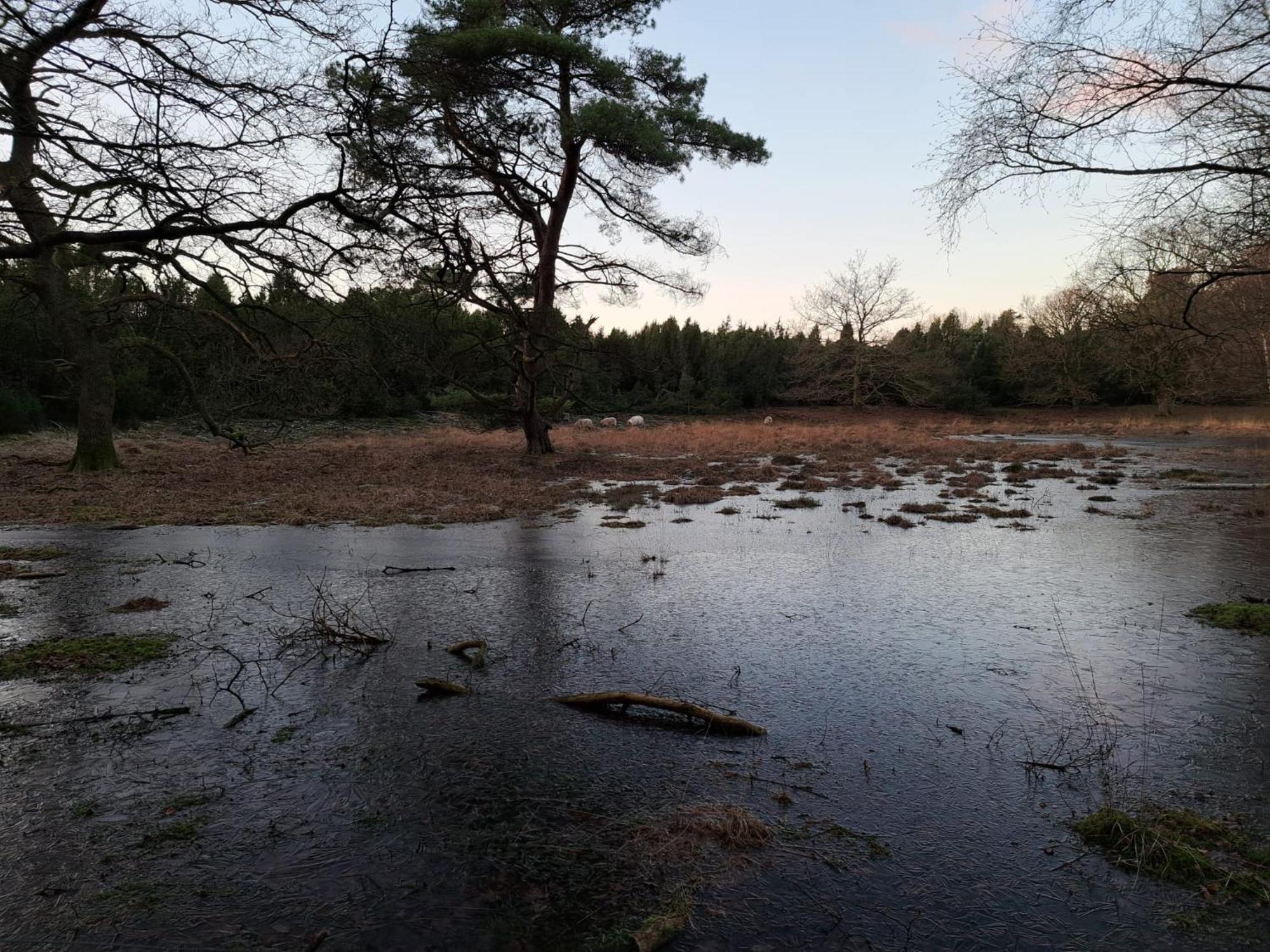 Natuurhuisje Meppen Extérieur photo