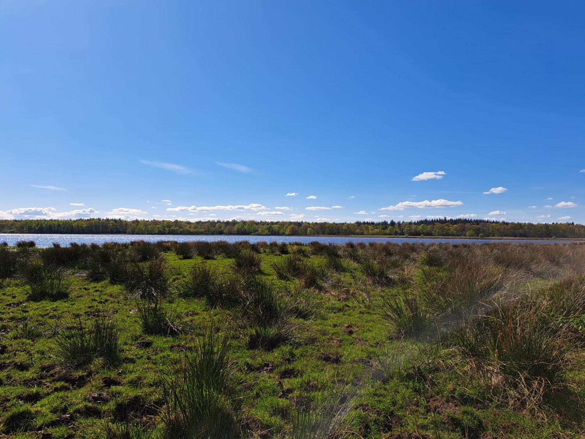 Natuurhuisje Meppen Extérieur photo
